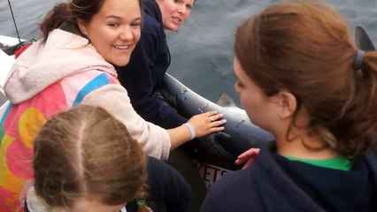Shark trip - Indian Point Young Naturalist Club
