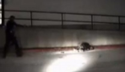 ABD polisi yine durmadı