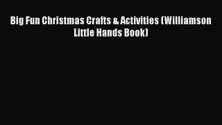 Read Big Fun Christmas Crafts & Activities (Williamson Little Hands Book) Ebook Free