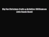 Read Big Fun Christmas Crafts & Activities (Williamson Little Hands Book) Ebook Free