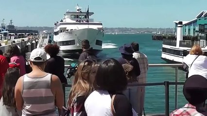 Quand un bateau de croisière se crashe sur les docks de San Diego