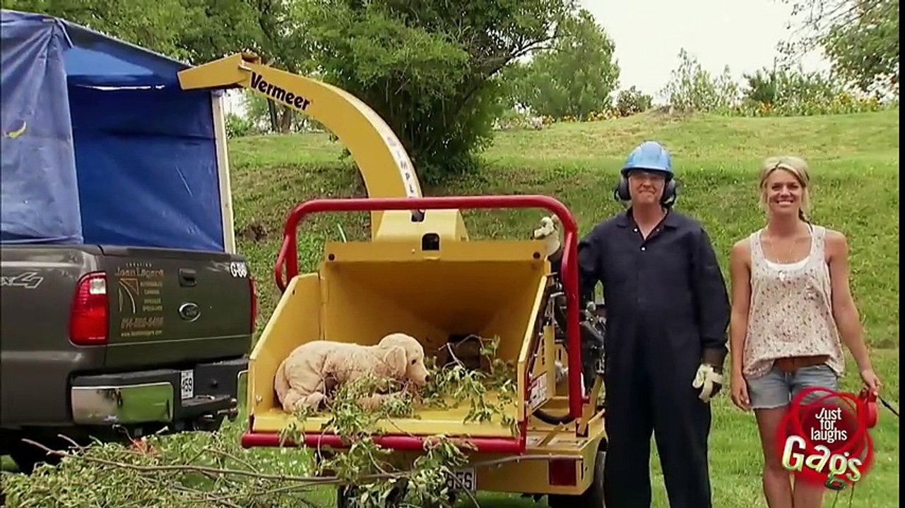 Dog in the Shredder Prank