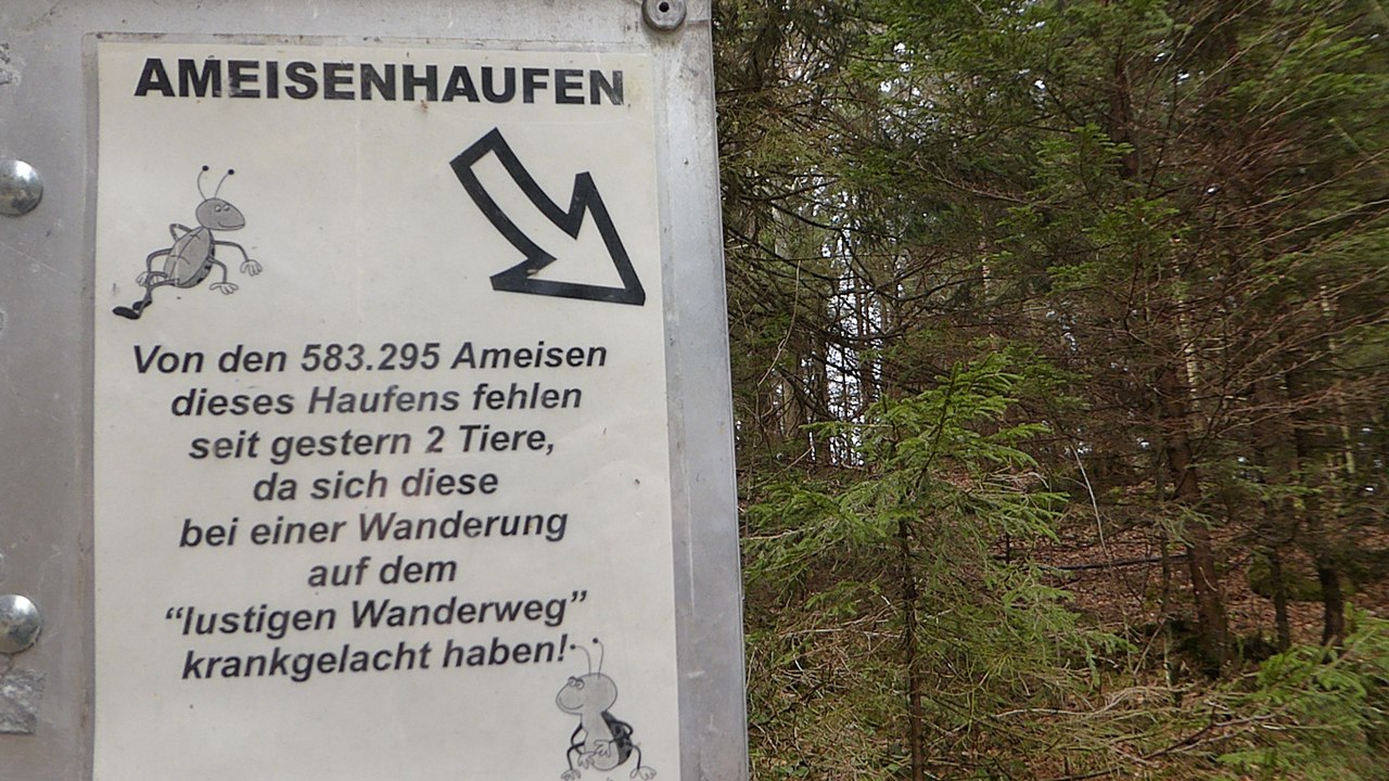 Lustiger wanderweg in kranzegg (grünten)