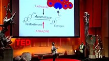 Tyrone Hayes: The toxic baby: TED TALKS: documentary, lecture, talk: herbicide danger
