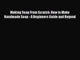 Download Making Soap From Scratch: How to Make Handmade Soap - A Beginners Guide and Beyond