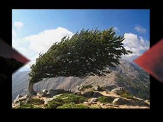 خواب میں گرم ہوا چلتے دیکھنا