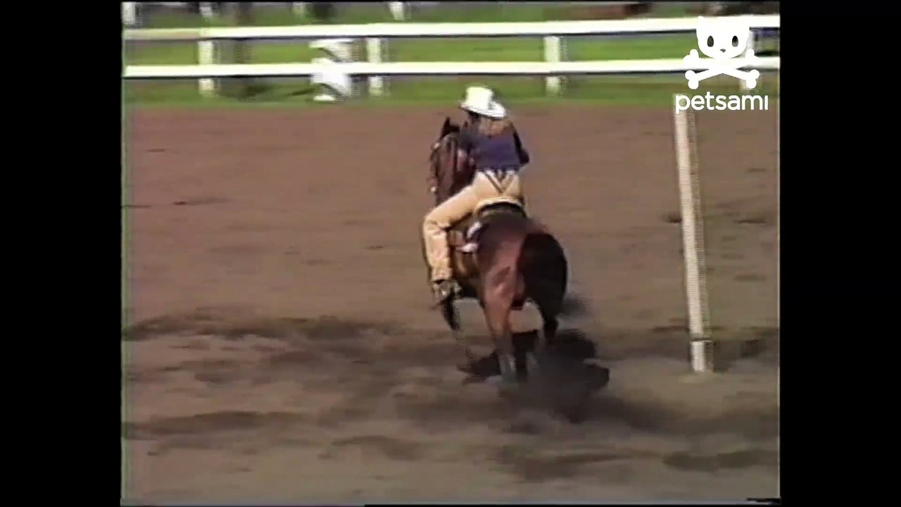 A horse of course completes the course