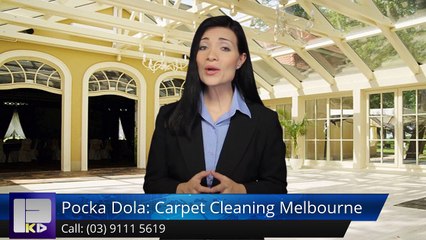 Pocka Dola: Carpet Cleaning Melbourne Dingley Village SuperbFive Star Review by Dotti T.