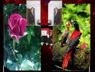 Emre SALTIK -Ölesiye Ölesiye Özledim