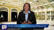 Pocka Dola: Carpet Cleaning Melbourne Docklands Superb5 Star Review by Julie E.