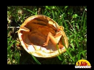 la videoarte di manuelle