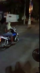 just a dog driving a motorbike