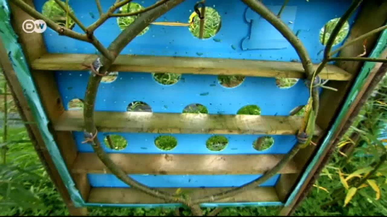 Diseño y naturaleza: campos de muebles | Euromaxx