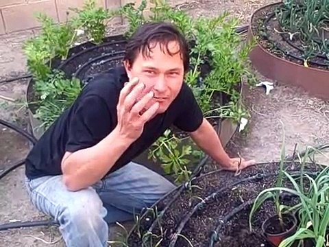 DO THE MIRANDA! - Original song by Miranda Sings