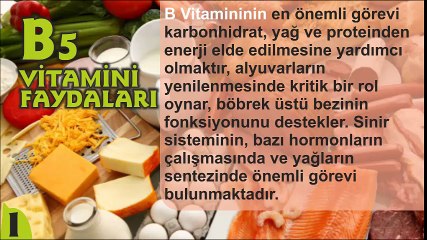 B5 VİTAMİNİ FAYDALARI