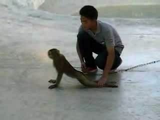 Monkey Push-ups