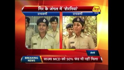 Braveheart Women Rangers Of The Gir Forest