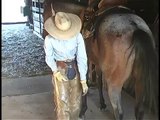 ~ SOLD ~ BLX Cowboys Little Dude 2010 AQHA roan gelding as a 3 yr.old