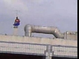 sous le bois spiderman