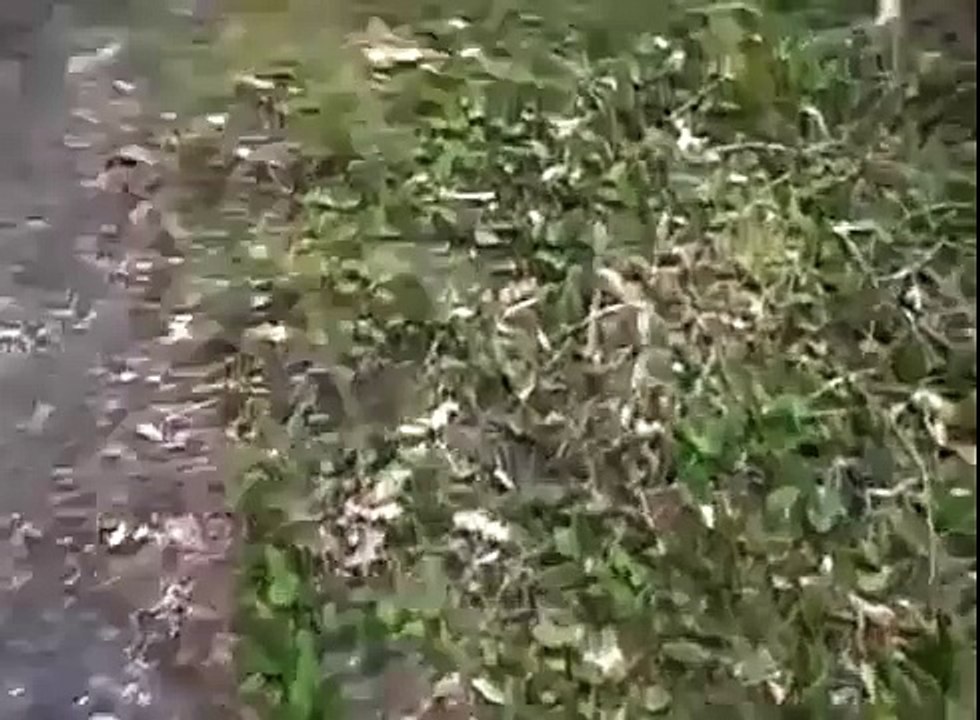 Best UFO sighting in U.S.A--Amazing Videos