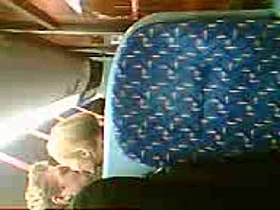 Couple Kissing in London Bus.381