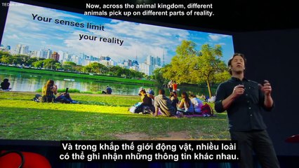 [TED Vietsub] David Eagleman- mo rong giac quan cho loai nguoi