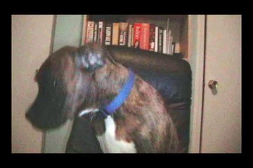 Re: Re: How Big is Your PUSSY!?!?!??!