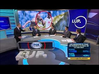 Pumas, ¿digno finalista?