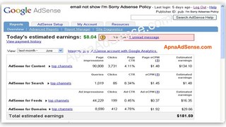 (1) Google Adsense Earning -