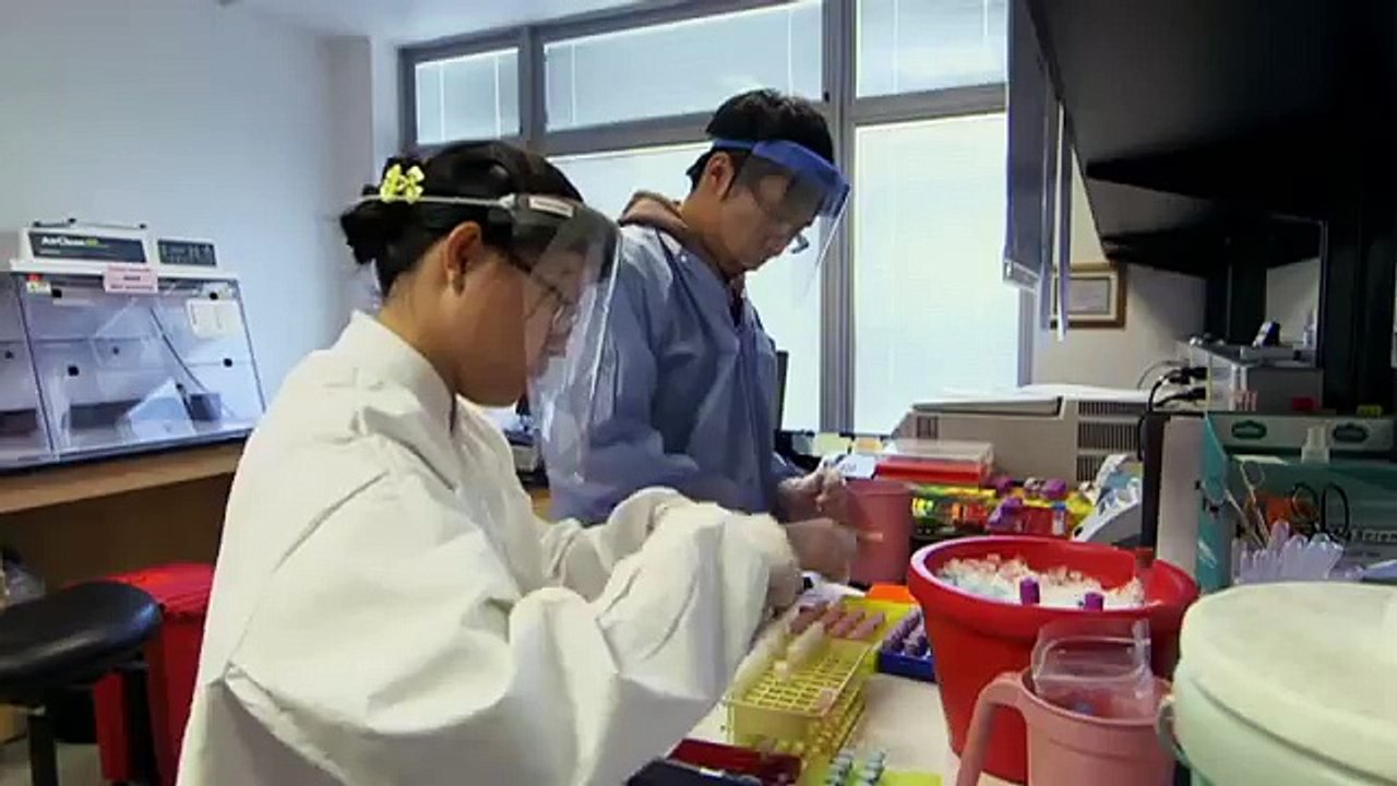The Secrets of Sugar - The Fifth Estate - CBC News 14