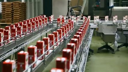 The Secrets of Sugar - The Fifth Estate - CBC News 22