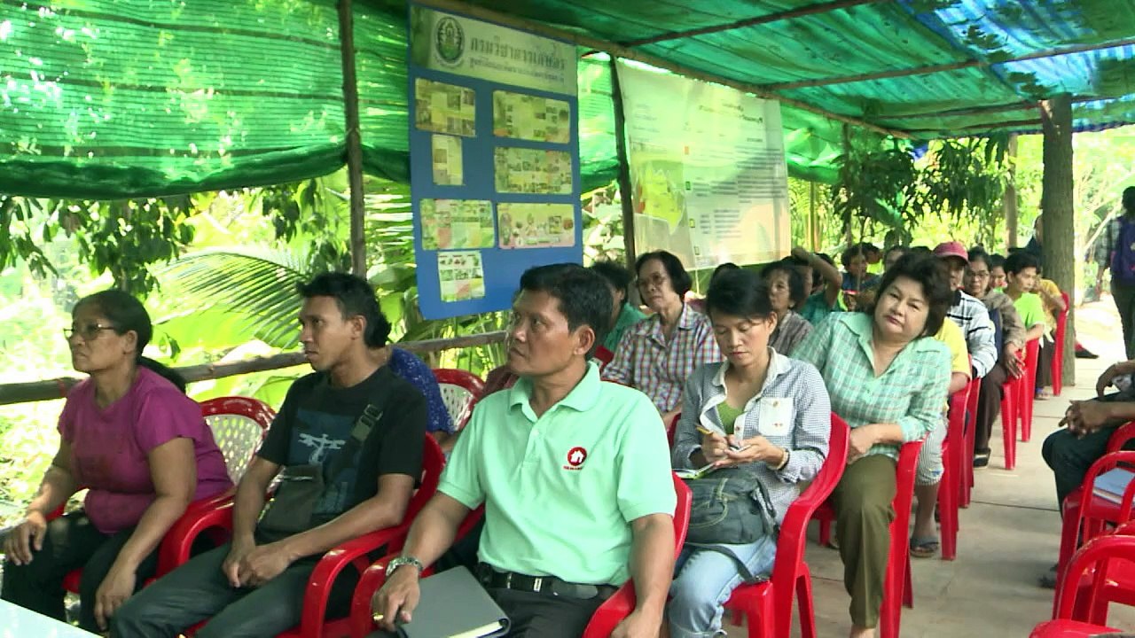 Thaïlande: les agriculteurs invités à planter moins de riz