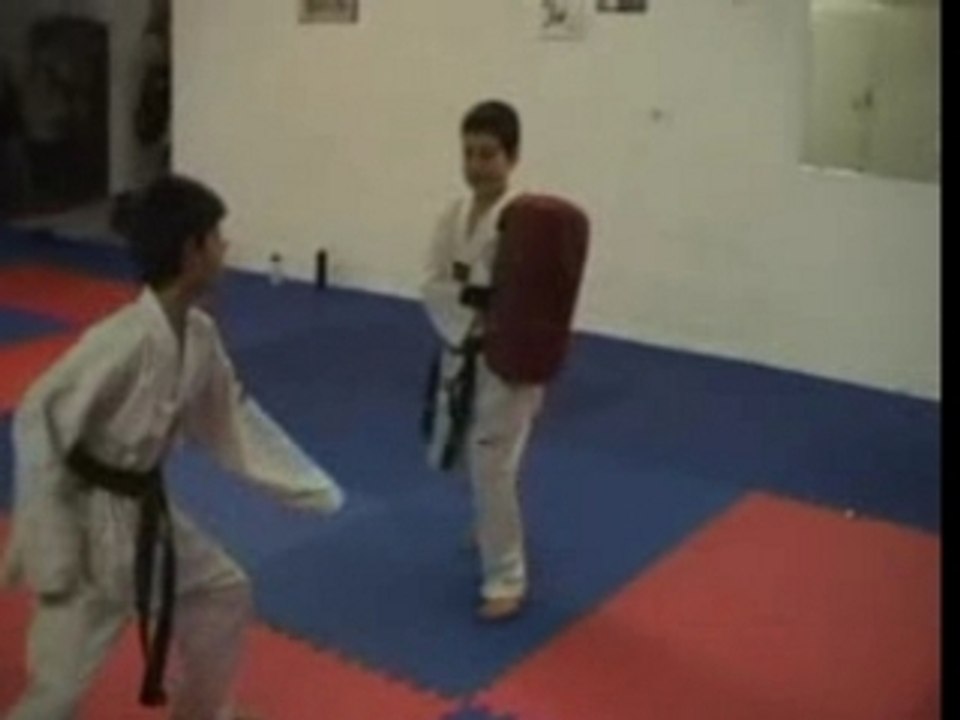 Twist Taekwondo Training