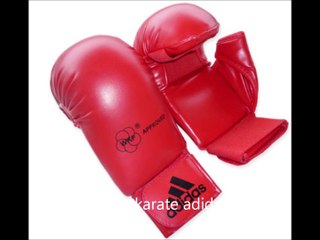 Alexx MARIA dojo Frot AKS Meaux