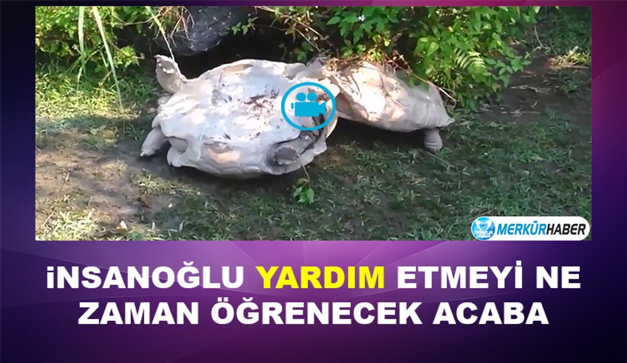 İnsanoğlu böyle yardım etmeyi ne zaman öğrenecek acaba!