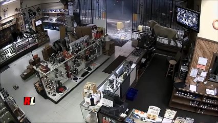 Как грабили оружейный магазин в Хьюстоне