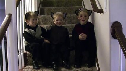 Three Little Kittens - Story and Nursery Rhyme - AMAZING! SO CUTE!!