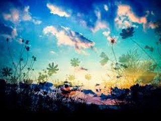 シャンソン【何故私に愛を語らない】 TU NE ME PARLES PLUS D'AMOUR (愛の苦しみ) シルヴィー・ヴァルタン &