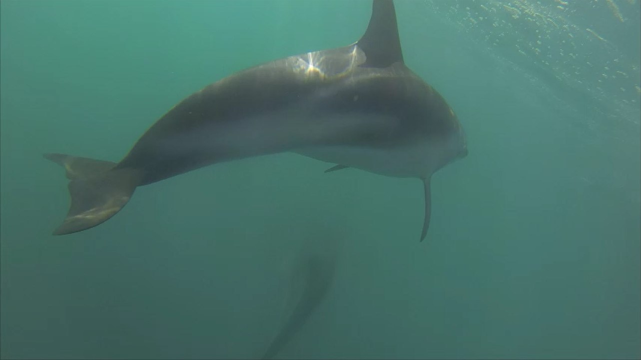 Thorsten J., Kaikoura 2016