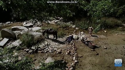 【방문totobksoft.com】#토토솔루션,#솔루션,#사설토토솔루션,#사설사이트임대,#사다리벨런스,#토토솔루션제작【카톡haricuty 스카이프haricuty】