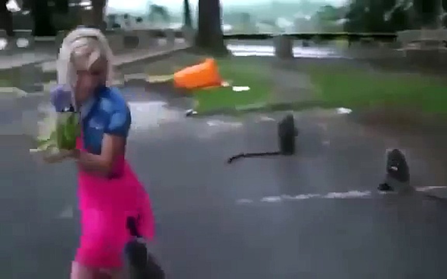 funny animals afv - Funny Animals 9