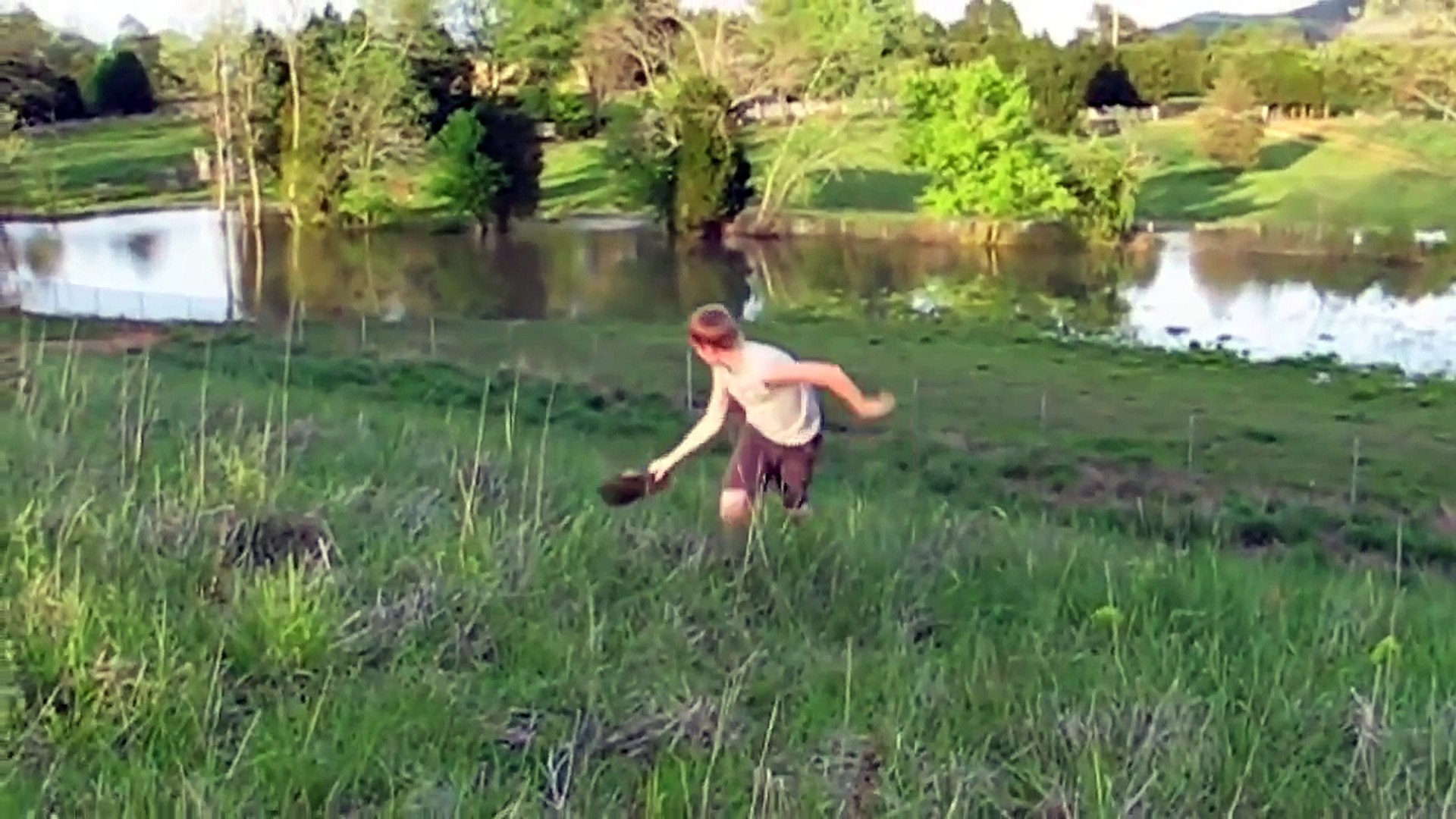 funny animals compilation - Funny Animals 1