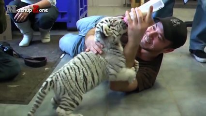 funny animals just for kids - Funny animals 20