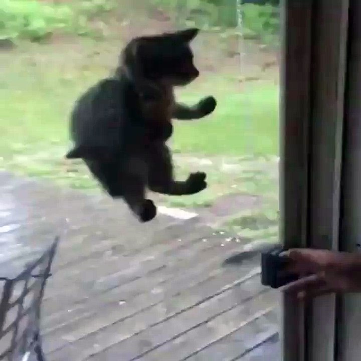 Anyone Called Spiderman
