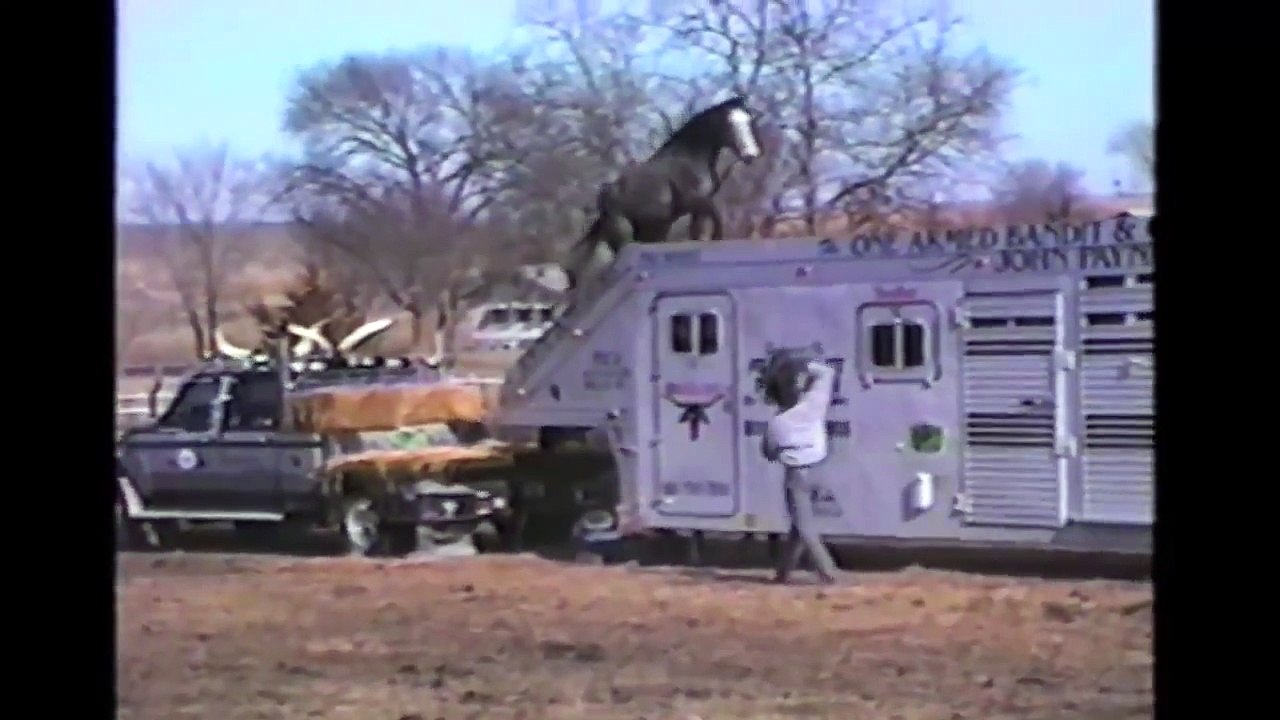 funny animals new - Funny animals 27