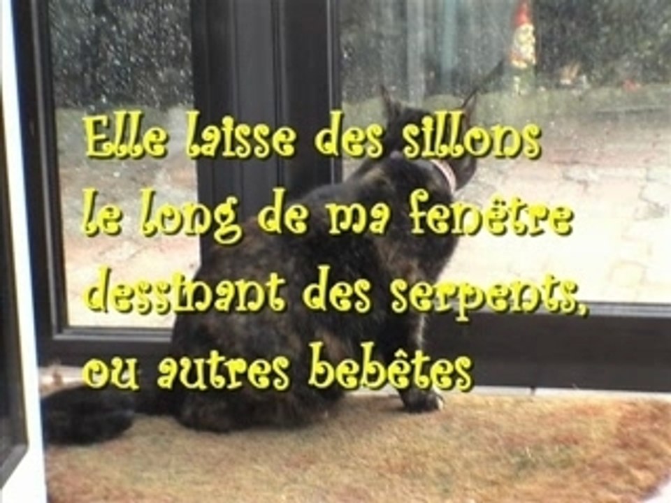 LA PLUIE