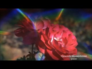 Gjenovefa Myrtaj-Ferrari  -poezi- VISHMA TRUPIN  ME FJALËT E MËNDAFSHTA