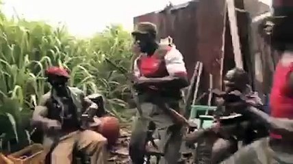 Rise of the planet of the apes