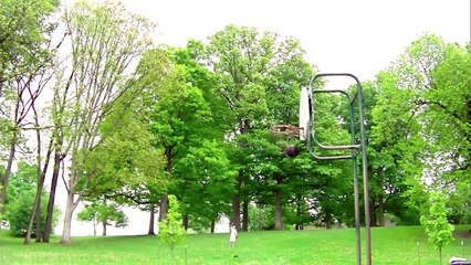 HUMANS ARE AWESOME 2015