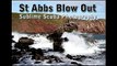 St Abbs Blow Out